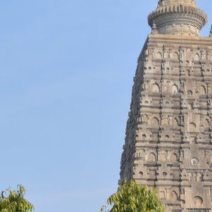 Meet your Posher, Dawa